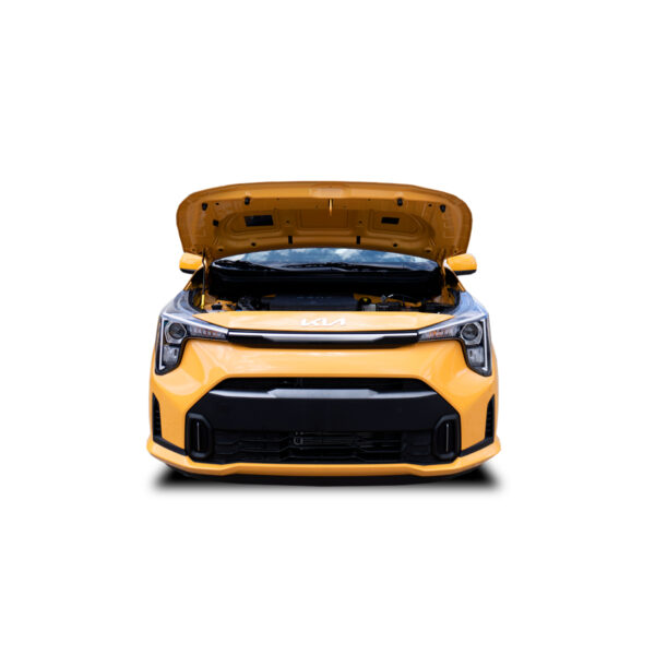 KIA EKO TAXI 2026 - Image 5